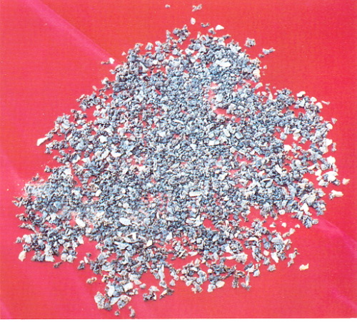 �ŤƦѩM�|�l������M�� - �Ӥ����EIn Memory of the Venerable Master Hsuan Huan - Photographs