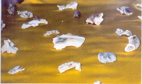 �ŤƦѩM�|�l������M�� - �Ӥ����EIn Memory of the Venerable Master Hsuan Huan - Photographs