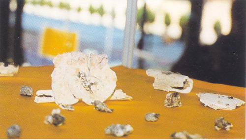 �ŤƦѩM�|�l������M�� - �Ӥ����EIn Memory of the Venerable Master Hsuan Huan - Photographs