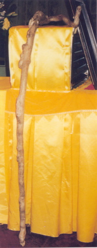 �ŤƦѩM�|�l������M�� - �Ӥ����EIn Memory of the Venerable Master Hsuan Huan - Photographs